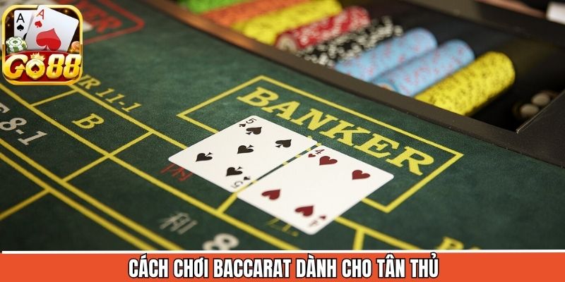 Hướng dẫn quy tắc tham gia Baccarat dành cho newbie