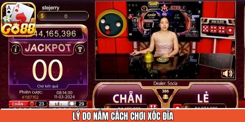 Lý do vì sao thành viên nên tìm hiểu cách chơi xóc đĩa