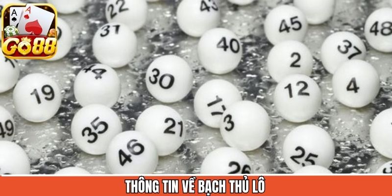 Thông tin chung về hình thức đánh bạch thủ