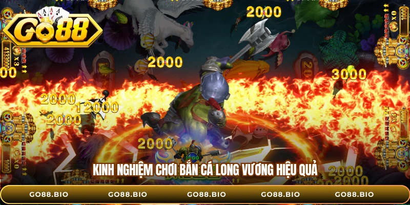 Kinh nghiệm chơi bắn cá Long Vương hiệu quả