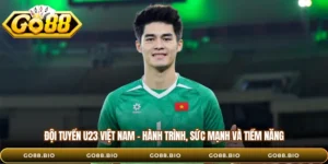 Đội Tuyển U23 Việt Nam – Hành Trình, Sức Mạnh Và Tiềm Năng