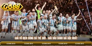 Giải Vô Địch Bóng Đá Thế Giới – Giải Đấu Danh Giá Bậc Nhất