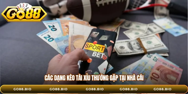 Các dạng kèo tài xỉu thường gặp tại nhà cái