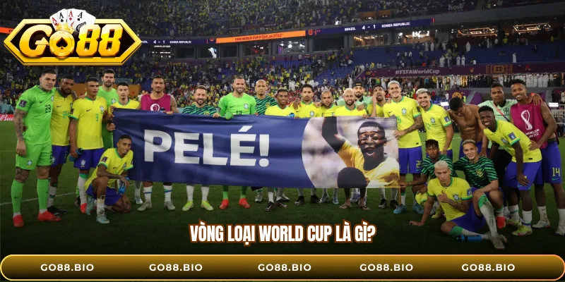Vòng loại World Cup là gì?