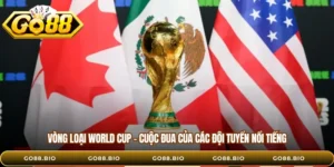 Vòng Loại World Cup – Cuộc Đua Của Các Đội Tuyển Nổi Tiếng
