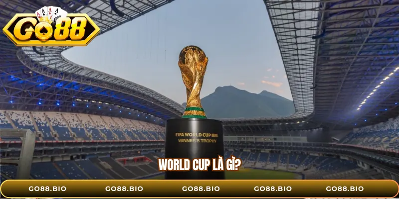 World Cup là gì? 
